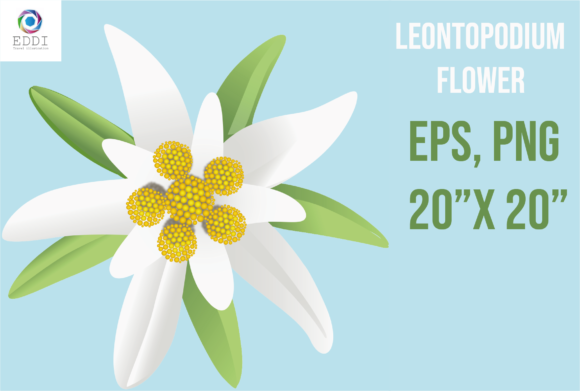 Alpine Edelweiss Design Assets