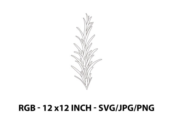 Illustration of a Rosemary: Design Guide