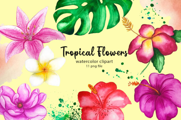 Tropical Flowers Exotic Clipart for Design