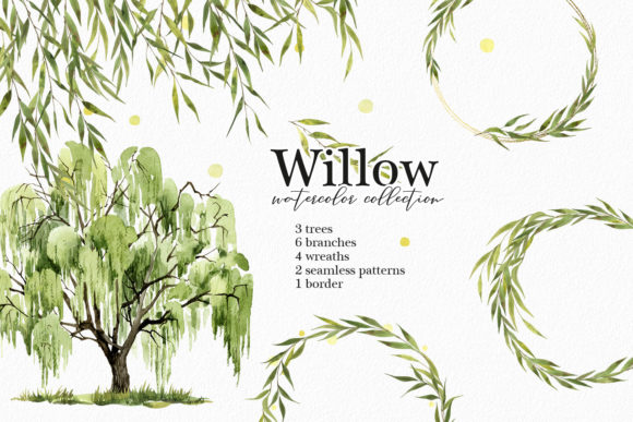 Willow Tree Watercolor Clipart for Creative Projects